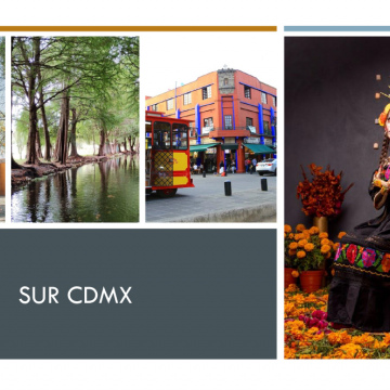 Sur CDMX 4 pax (Tour Privado)